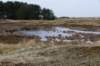 ameland2020_118_small.jpg
