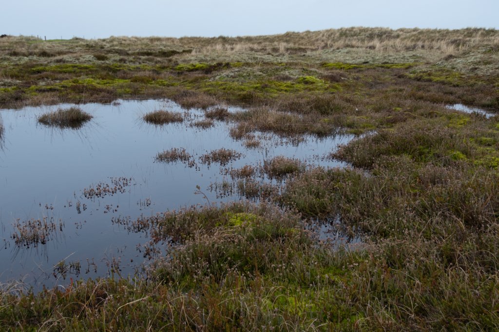 ameland2020_120.jpg