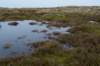 ameland2020_120_small.jpg