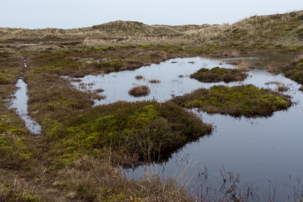 ameland2020_121.jpg