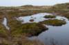 ameland2020_121_small.jpg