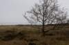 ameland2020_122_small.jpg