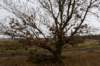 ameland2020_123_small.jpg