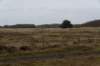 ameland2020_124_small.jpg