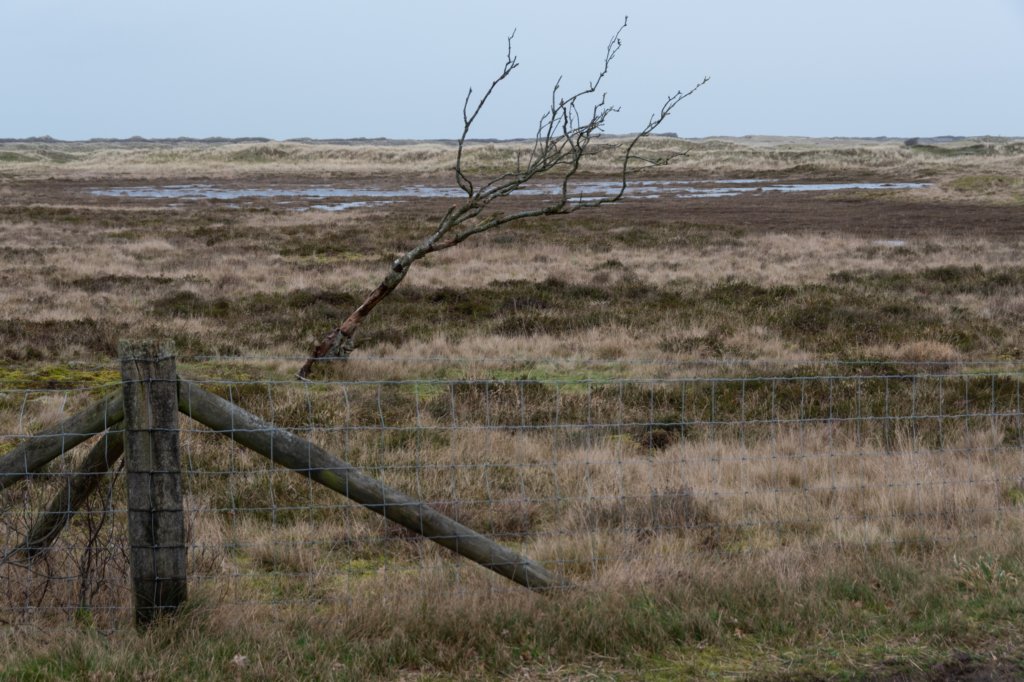 ameland2020_125.jpg