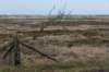 ameland2020_125_small.jpg