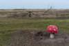 ameland2020_126_small.jpg