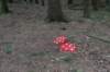 ameland2020_128_small.jpg