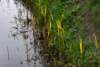 ameland2020_129_small.jpg