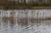 ameland2020_135_small.jpg