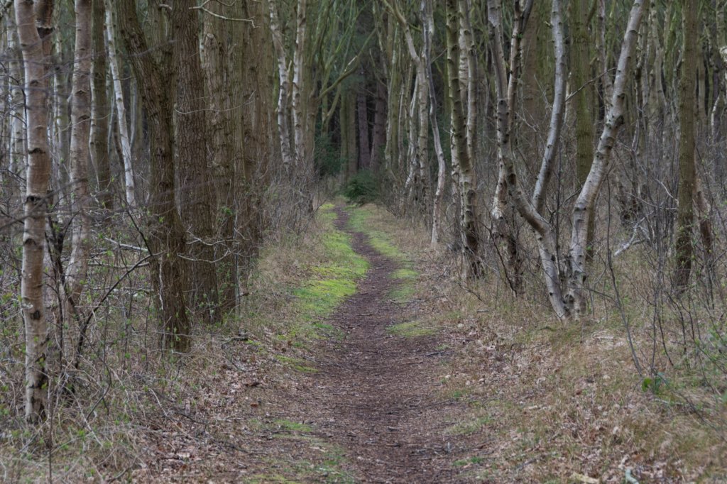 ameland2020_136.jpg