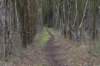 ameland2020_136_small.jpg