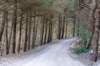 ameland2021_001_small.jpg