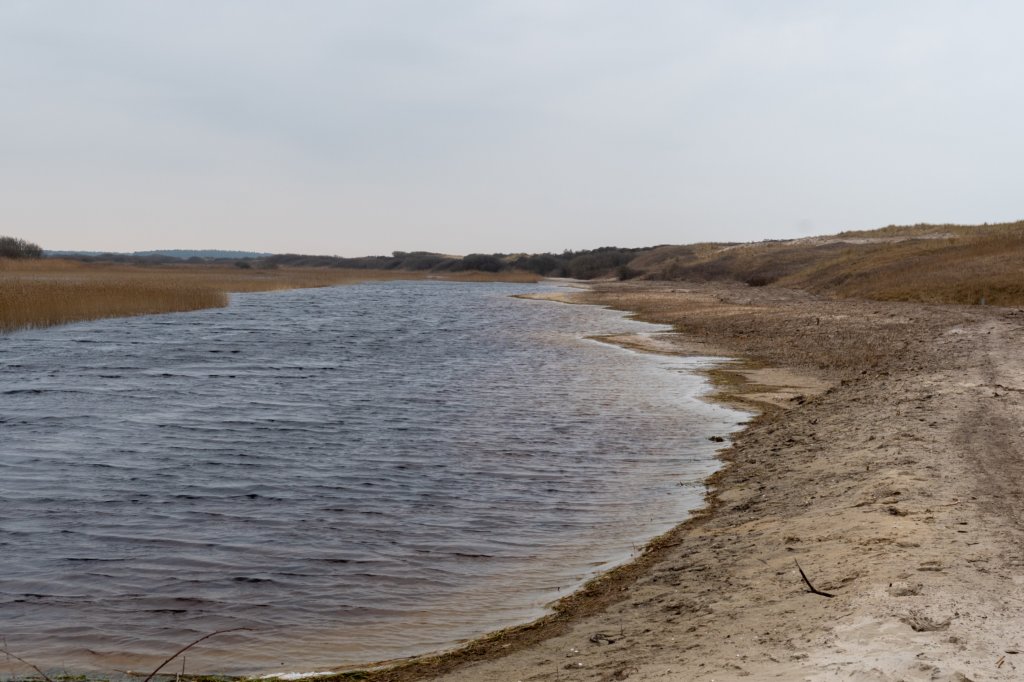 ameland2021_007.jpg
