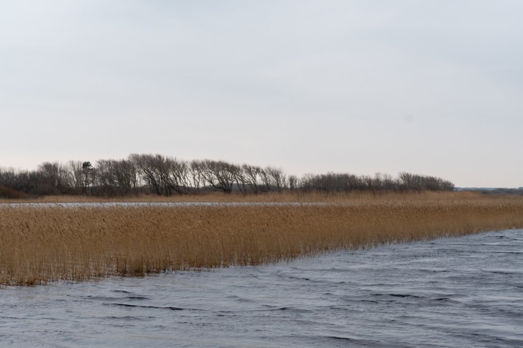 ameland2021_009.jpg