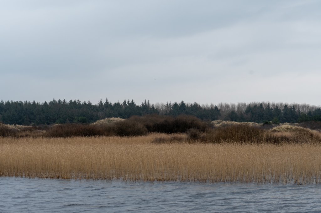 ameland2021_011.jpg