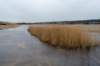 ameland2021_013_small.jpg