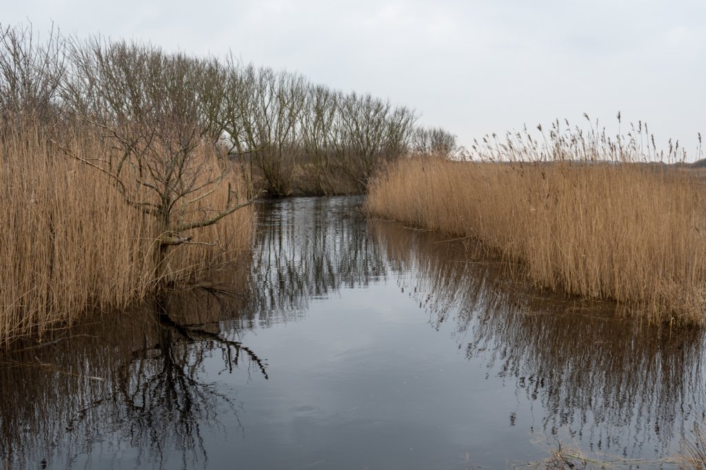ameland2021_014.jpg