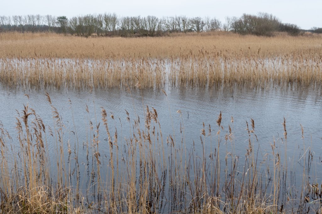 ameland2021_016.jpg