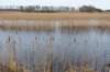 ameland2021_016_small.jpg