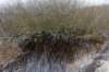 ameland2021_017_small.jpg