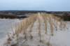 ameland2021_018_small.jpg