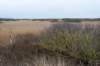 ameland2021_019_small.jpg