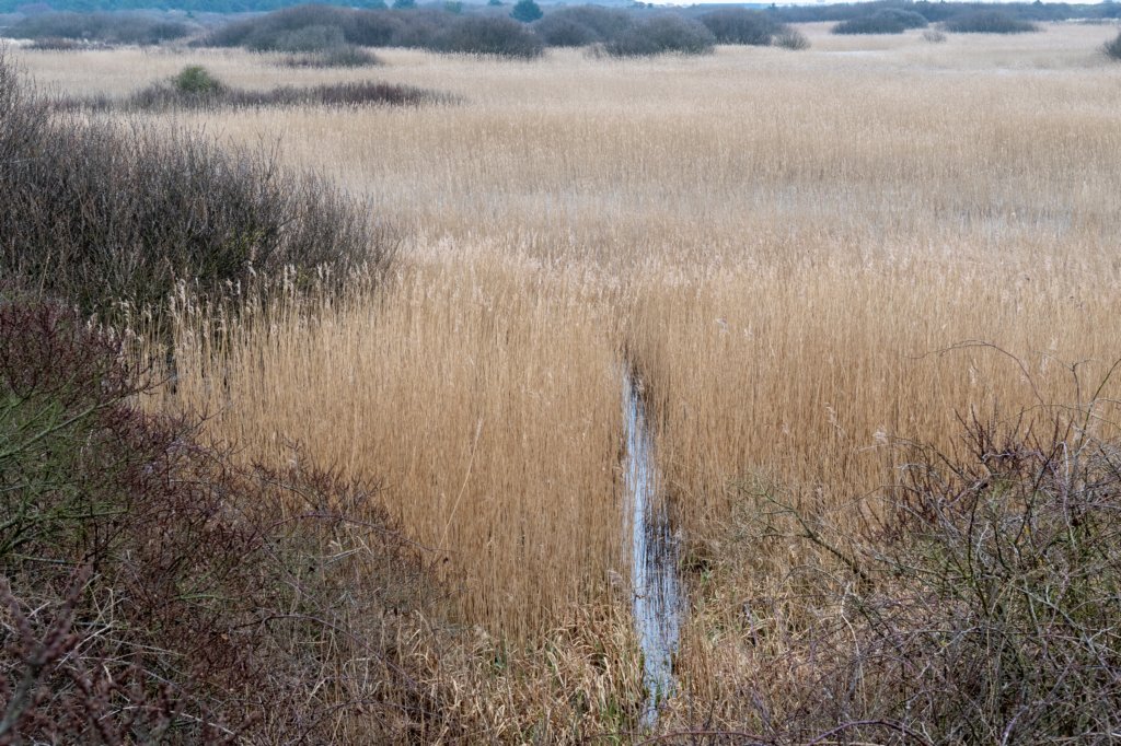 ameland2021_020.jpg