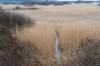 ameland2021_020_small.jpg