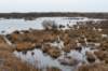 ameland2021_021_small.jpg