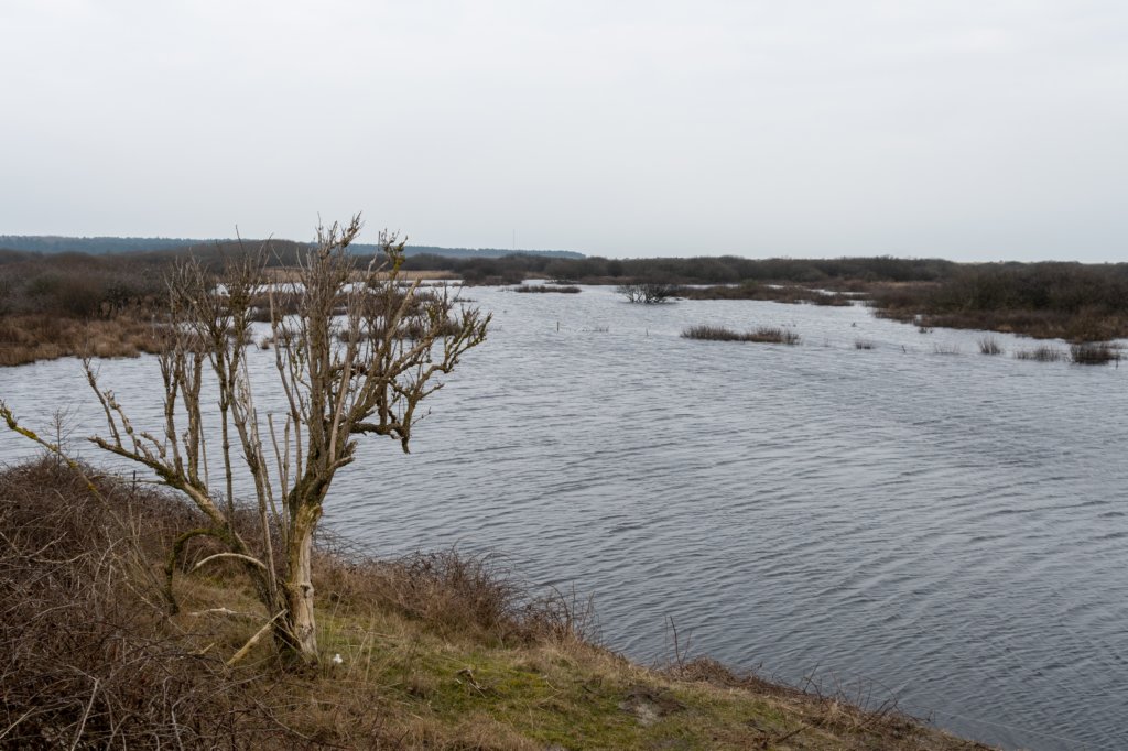 ameland2021_022.jpg