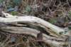 ameland2021_025_small.jpg