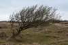 ameland2021_026_small.jpg