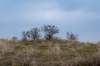 ameland2021_027_small.jpg