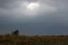 ameland2021_028_small.jpg