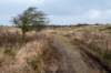 ameland2021_029_small.jpg