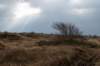 ameland2021_030_small.jpg