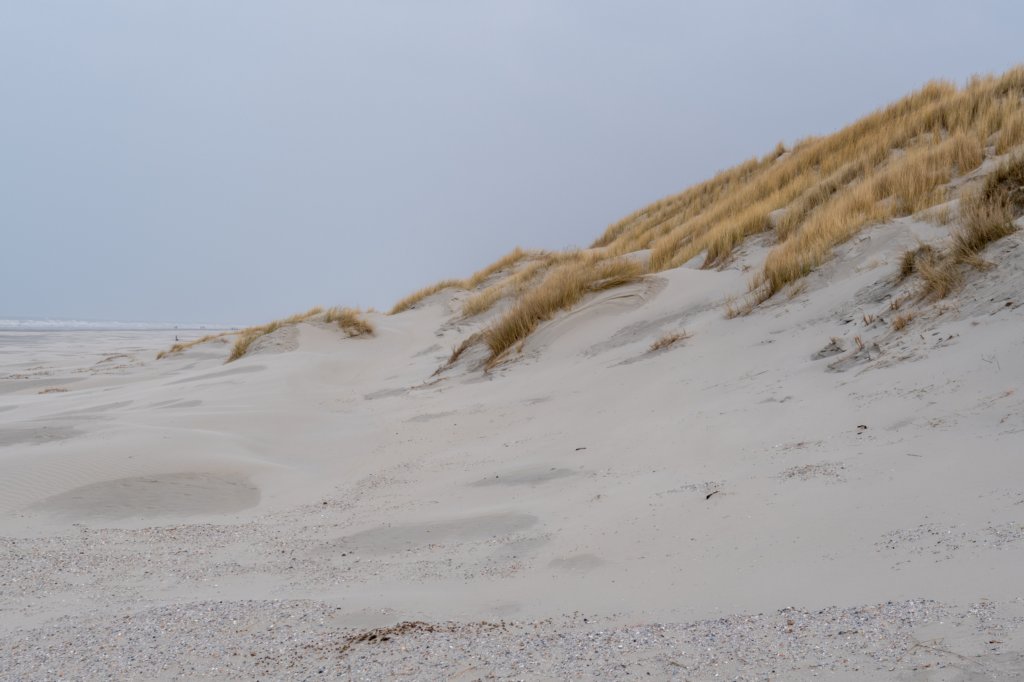 ameland2021_033.jpg