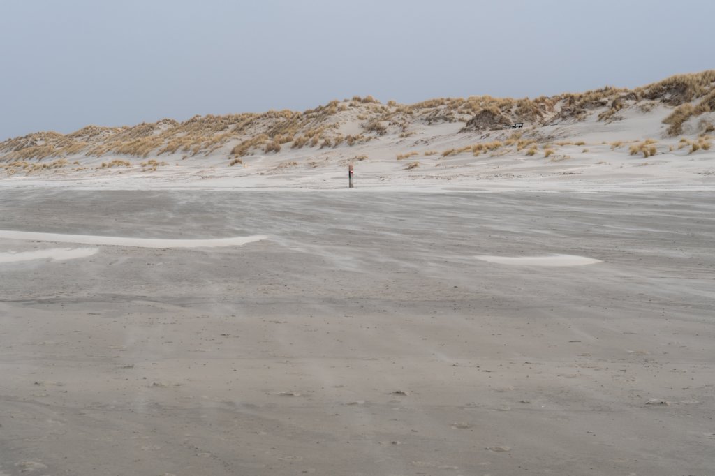 ameland2021_035.jpg