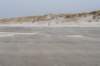 ameland2021_035_small.jpg