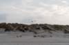 ameland2021_037_small.jpg