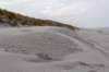 ameland2021_038_small.jpg