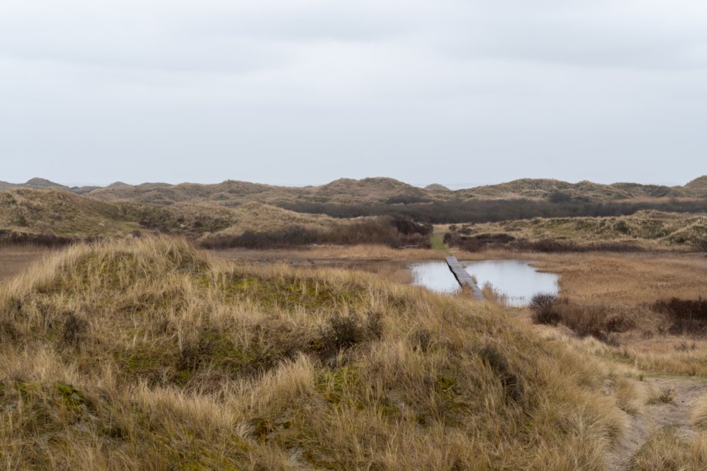 ameland2021_046.jpg