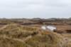 ameland2021_046_small.jpg