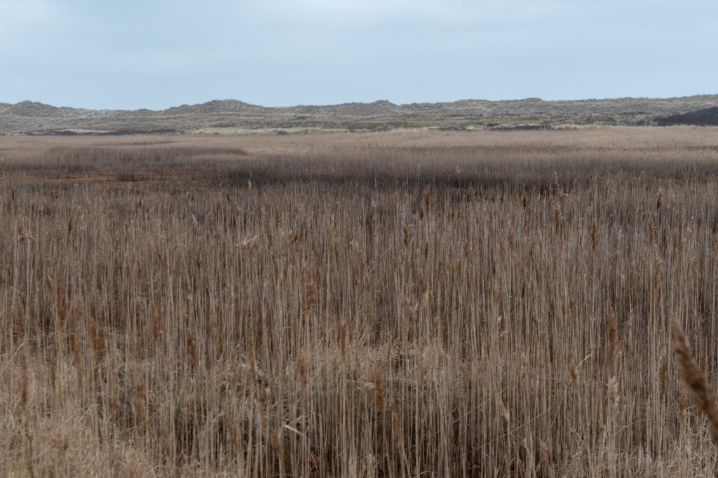 ameland2021_048.jpg