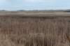 ameland2021_048_small.jpg