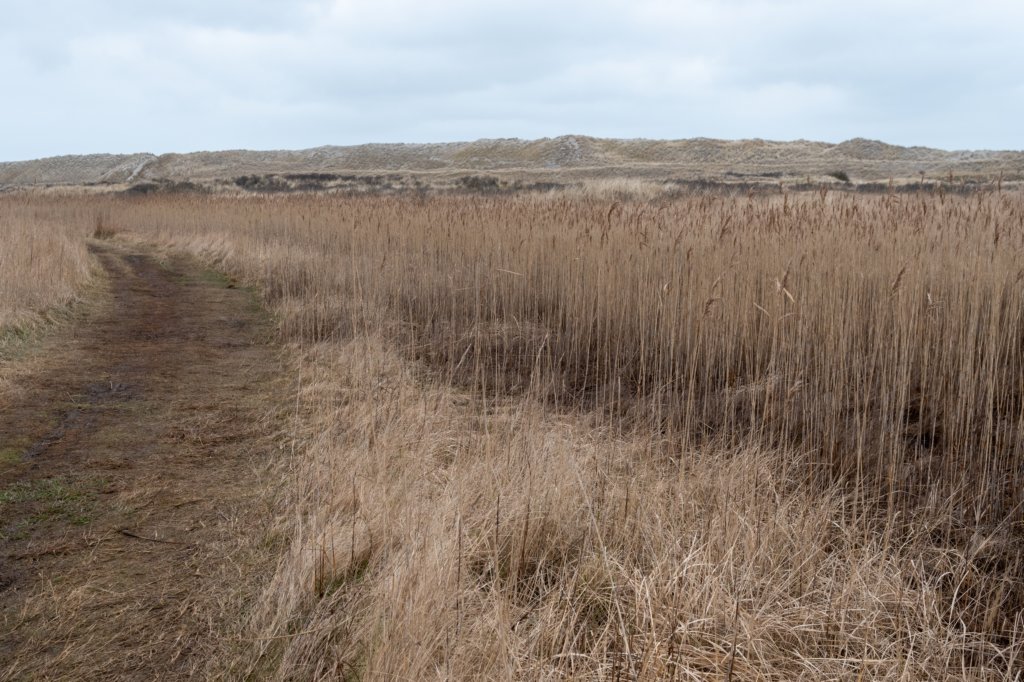 ameland2021_049.jpg