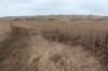 ameland2021_049_small.jpg