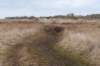 ameland2021_050_small.jpg