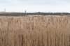 ameland2021_051_small.jpg